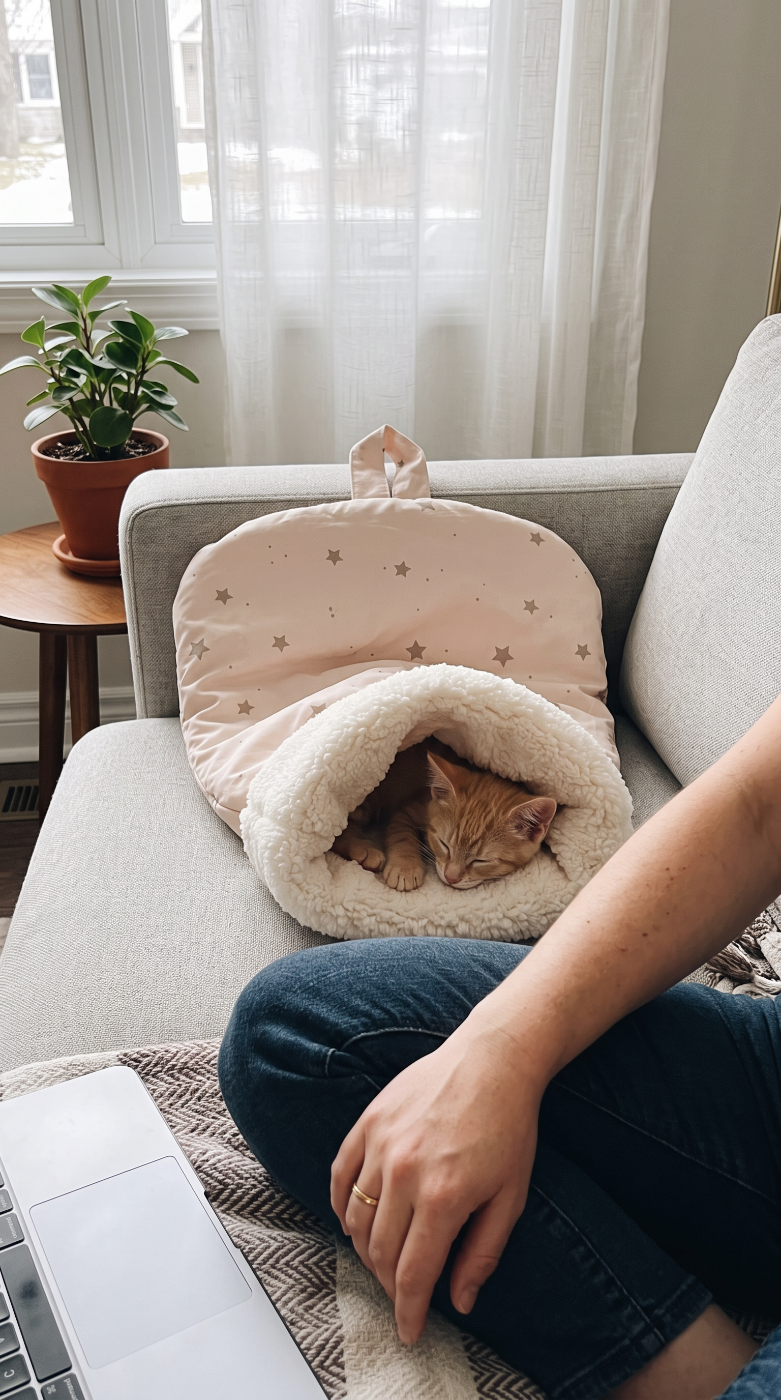 PawMiau burrow bed at home